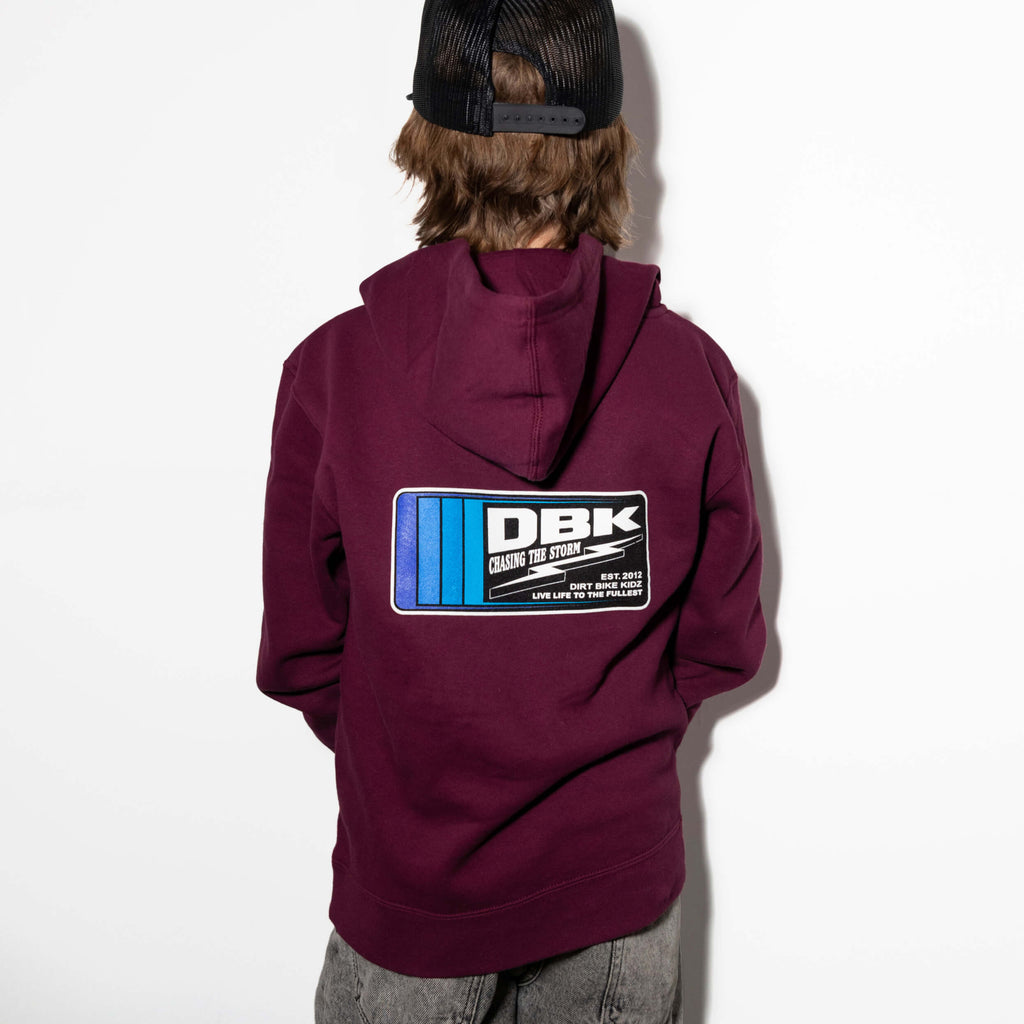Chasing the Storm - Youth Hoodie T-Shirts, Sweatshirt | CoreVibeTees.com (Image 2)