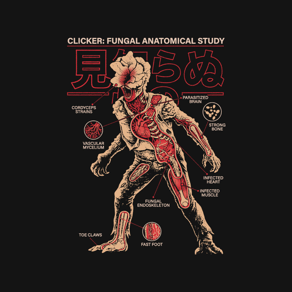 Fungal Anatomical Study