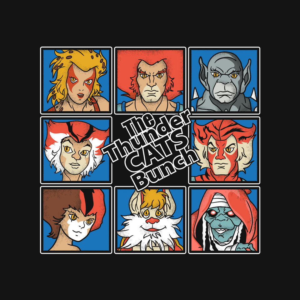 Thundercats Bunch