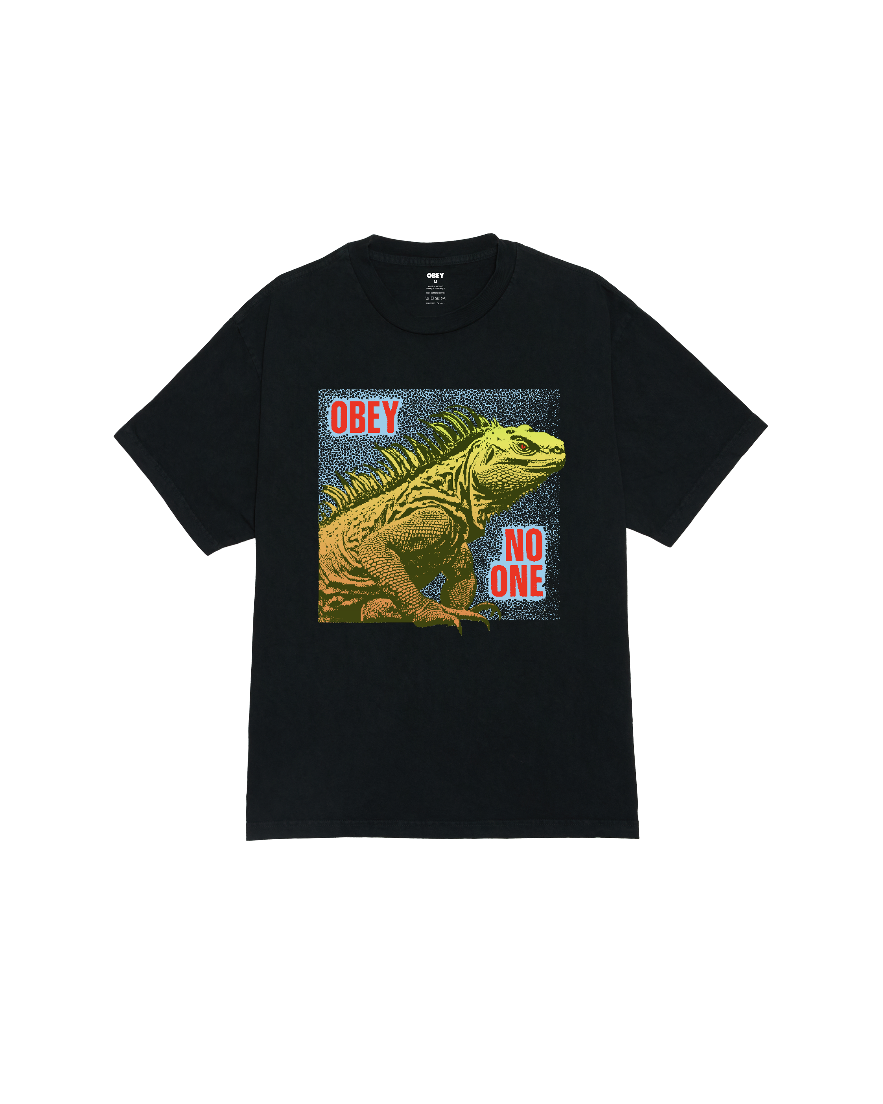 NO ONE REPTILE PIGMENT BOX T-SHIRT Hoodie, Sweatshirt | CoreVibeTees.com