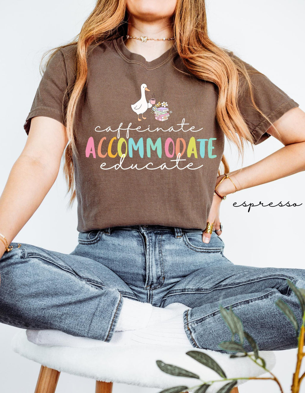 Comfort Colors Teacher Caffeinate Accommodate Educate Education Silly Goose Tee Back School Teacher (3)
