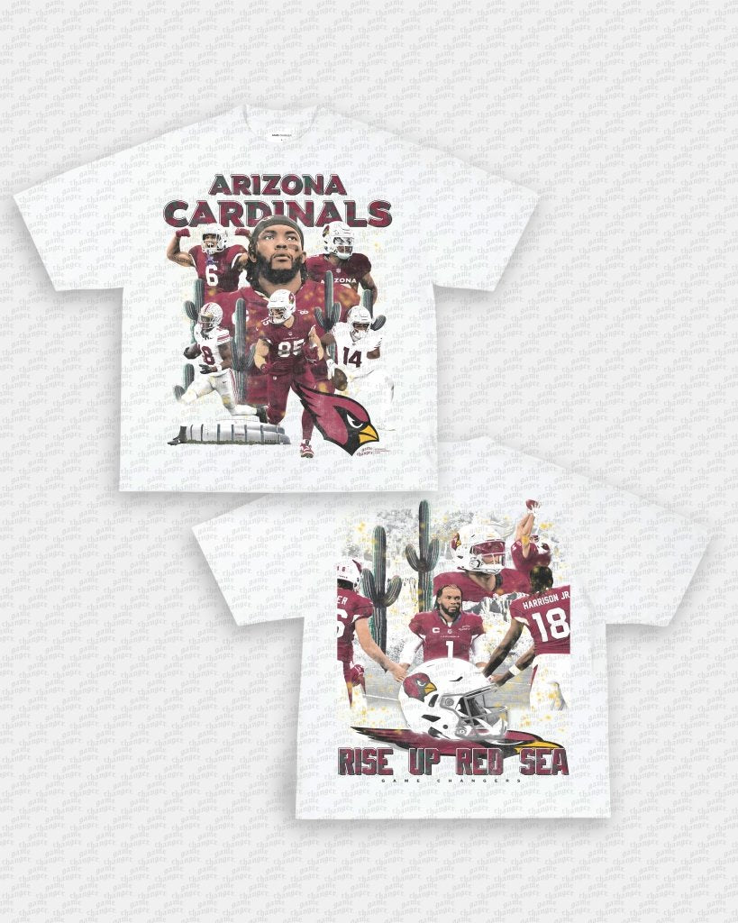 2024 CARDINALS TEE - [DS] Hoodie, Sweatshirt | CoreVibeTees.com (Image 1)