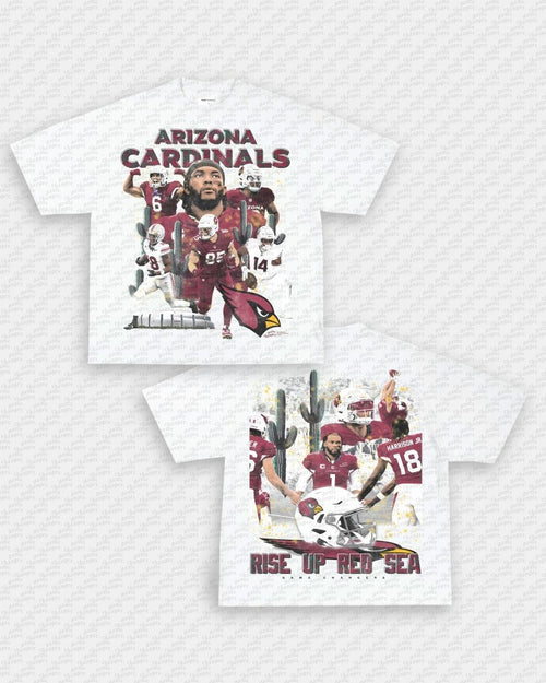 2024 CARDINALS TEE - [DS] Hoodie, Sweatshirt | CoreVibeTees.com (Image 1)