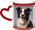 Border Collie Coffee Mug Heat Sensitive Color Changing Mugs In The Sky, 11 Oz Ceramic Magic Cup Personalized Tea Cups Novelty Coffee Cup Gift for Women Men