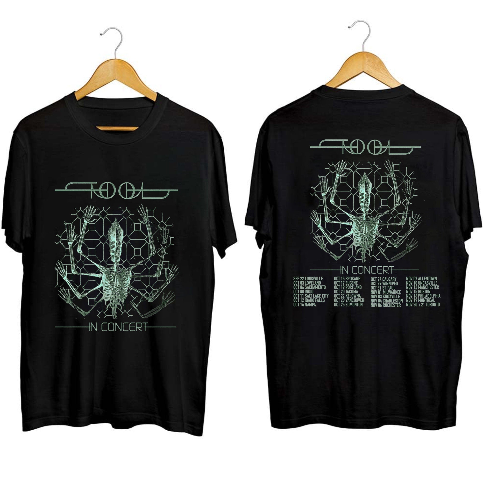 Tool 2023 Concert Shirt Hoodie, Sweatshirt | CoreVibeTees.com