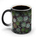 Succulent Plants Coffee Mug Discoloration Mugs Ceramic Cup Inspirational Gifts for Friend, Coworker, Women Men, Positive Affirmations Gifts