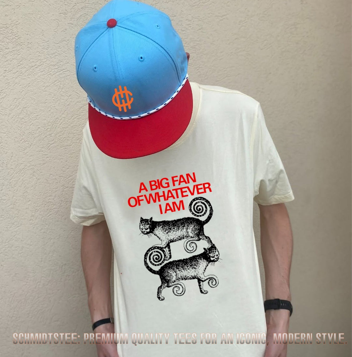 A Big Fan of Whatever I Am Cats cat lover shirt