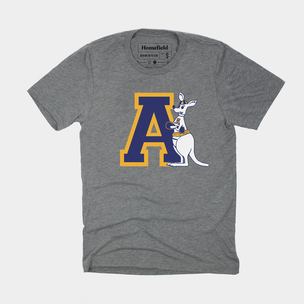 Vintage Akron Zips T-Shirt Hoodie, Sweatshirt | CoreVibeTees.com
