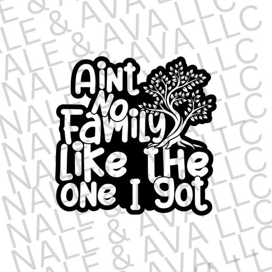 Ain't No Family Like The One I Got Screen Print Transfer