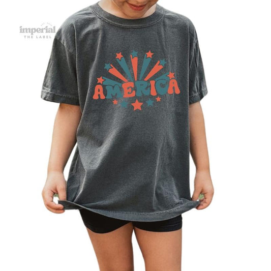 America Youth Sweatshirt and Kid's Comfort Colors T-Shirt, Patriotic Youth Crewneck, 4th of July Kids Pullover, Cozy USA Sweatshirt, Youth Sweatshirt
