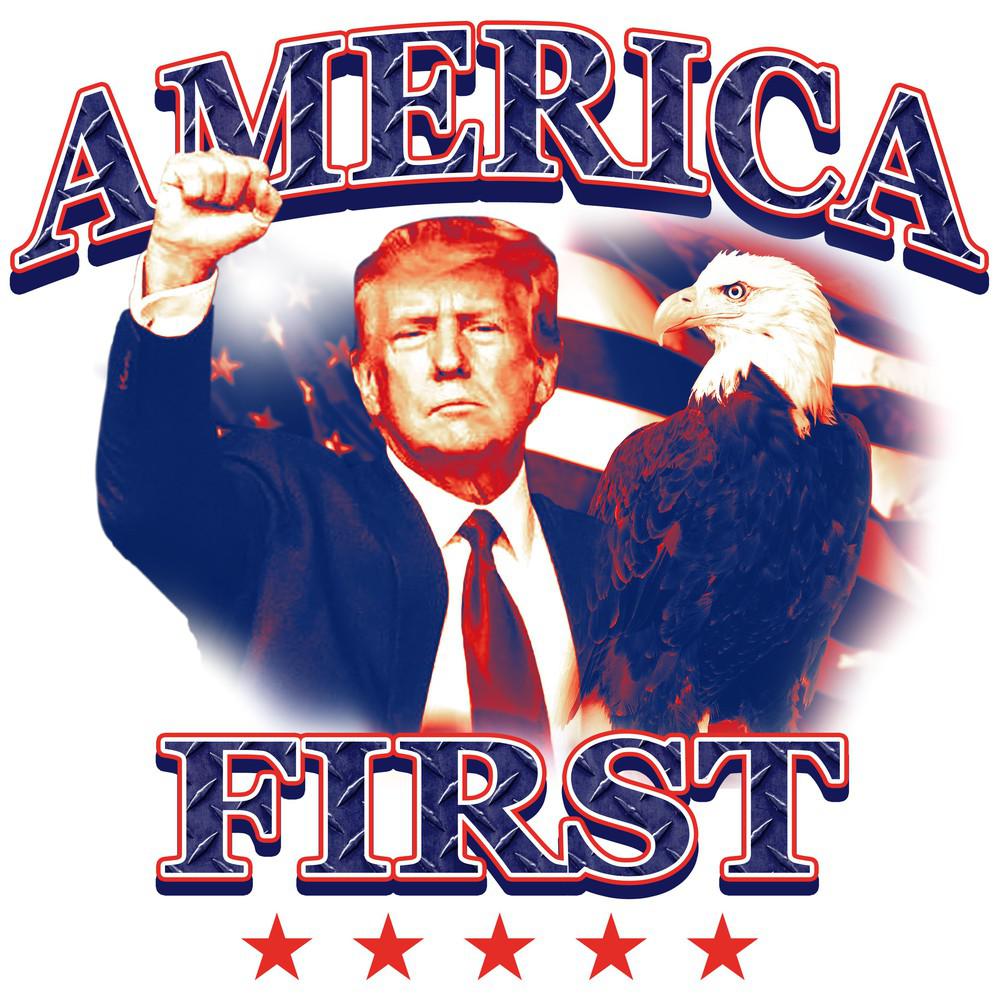 Trump America First Tee Hoodie, Sweatshirt | CoreVibeTees.com (Image 2)