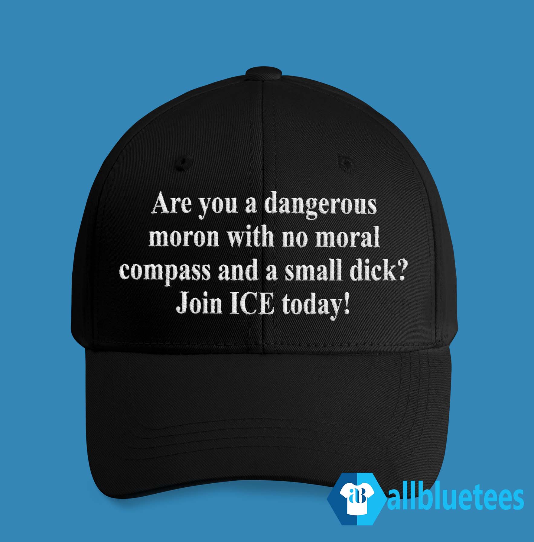 Are You A Dangerous Moron With No Moral Compass Hat