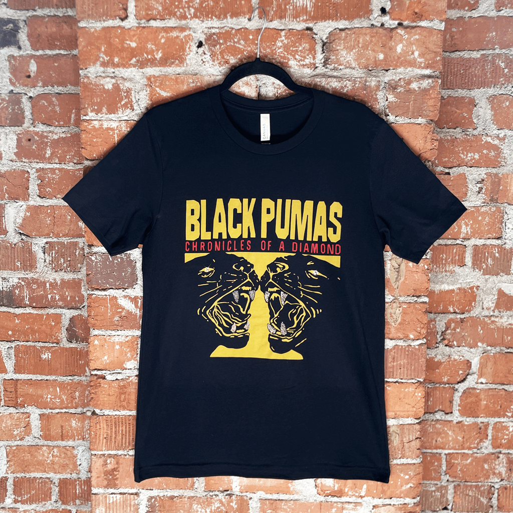 Chronicles of a Diamond Album T-Shirt Hoodie, Sweatshirt | CoreVibeTees.com (Image 3)