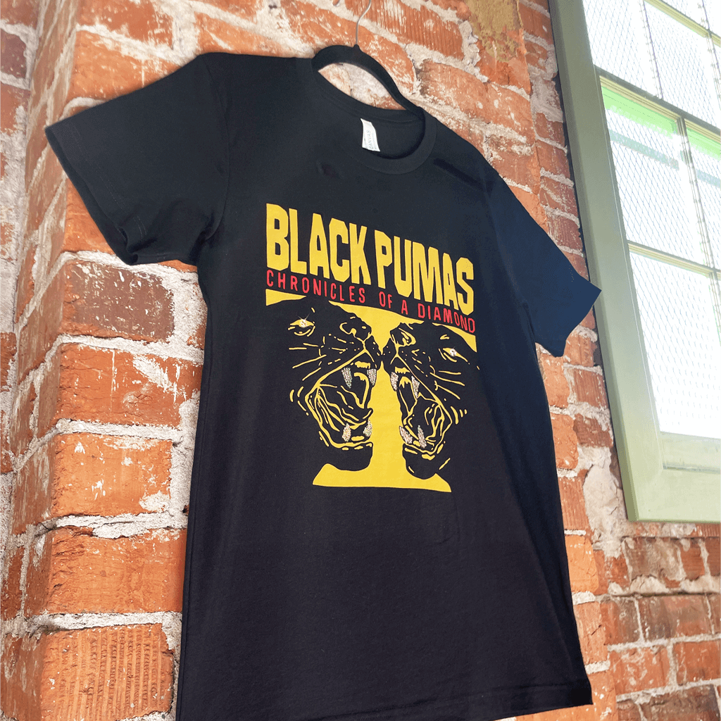 Chronicles of a Diamond Album T-Shirt Hoodie, Sweatshirt | CoreVibeTees.com (Image 4)