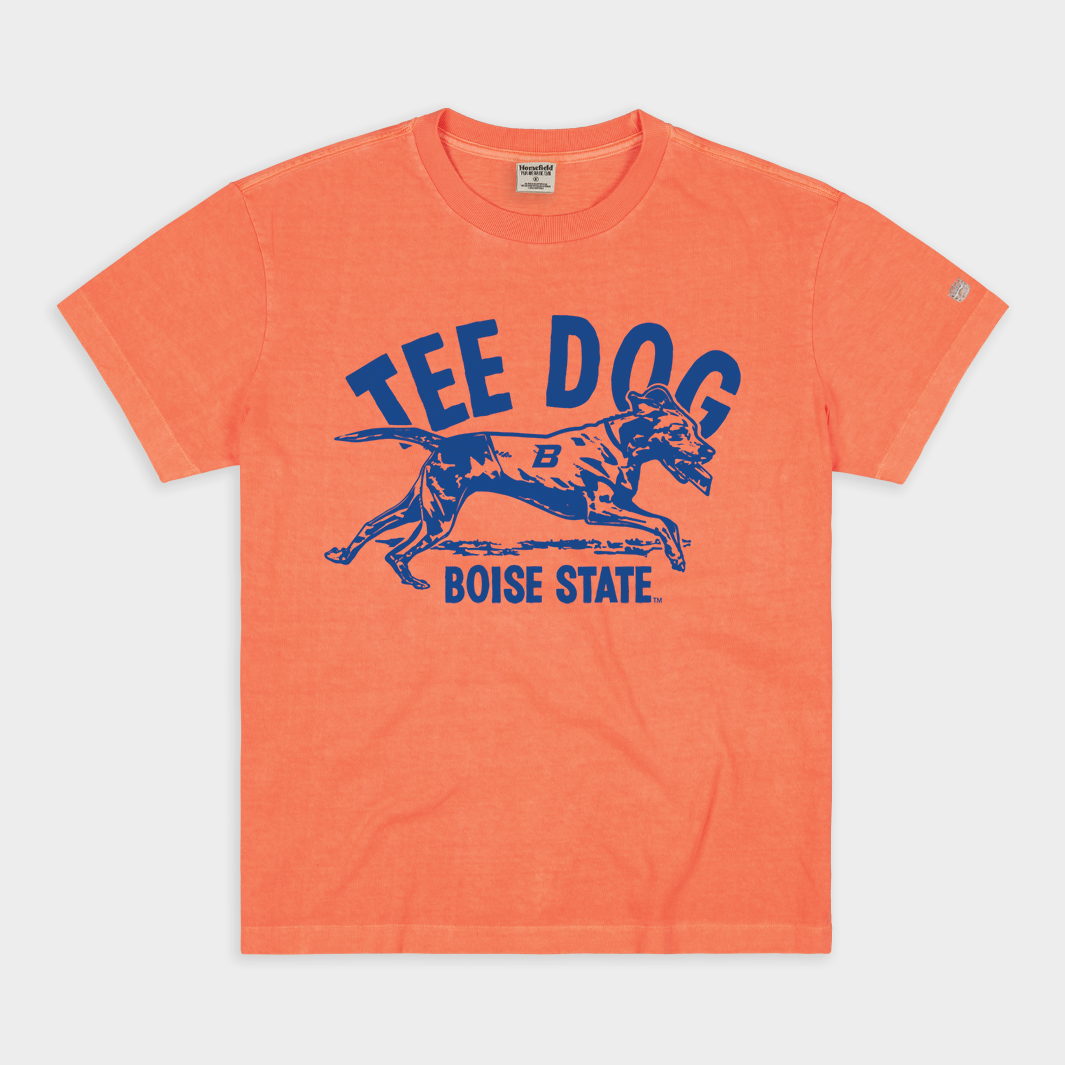 Boise State Tee Dog Vintage Heavyweight Tee Hoodie, Sweatshirt | CoreVibeTees.com