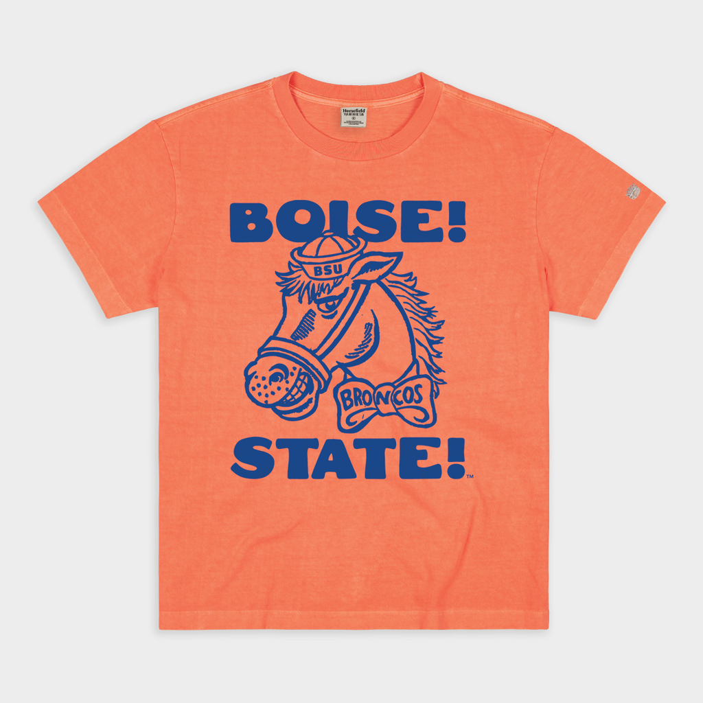 Boise State Broncos Stadium Chant Vintage Heavyweight Tee Hoodie, Sweatshirt | CoreVibeTees.com (Image 1)
