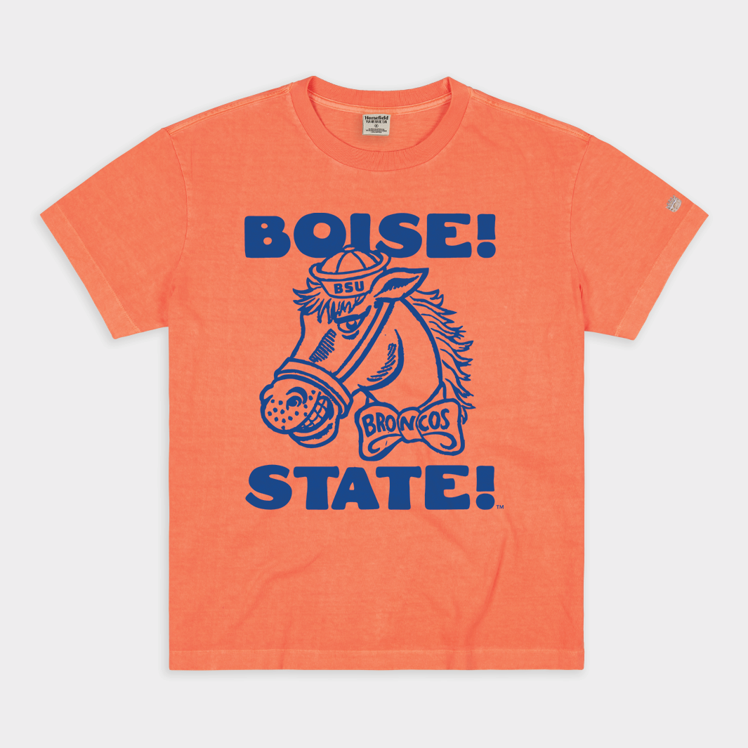 Boise State Broncos Stadium Chant Vintage Heavyweight Tee Hoodie, Sweatshirt | CoreVibeTees.com (Image 1)