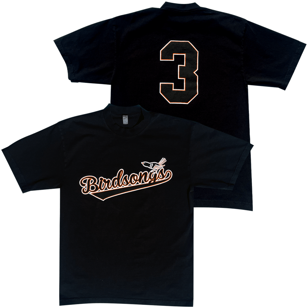 Birdsongs Orioles T-shirt Hoodie, Sweatshirt | CoreVibeTees.com (Image 1)