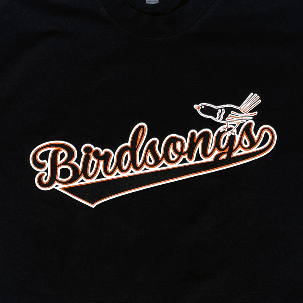 Birdsongs Orioles T-shirt Hoodie, Sweatshirt | CoreVibeTees.com (Image 2)