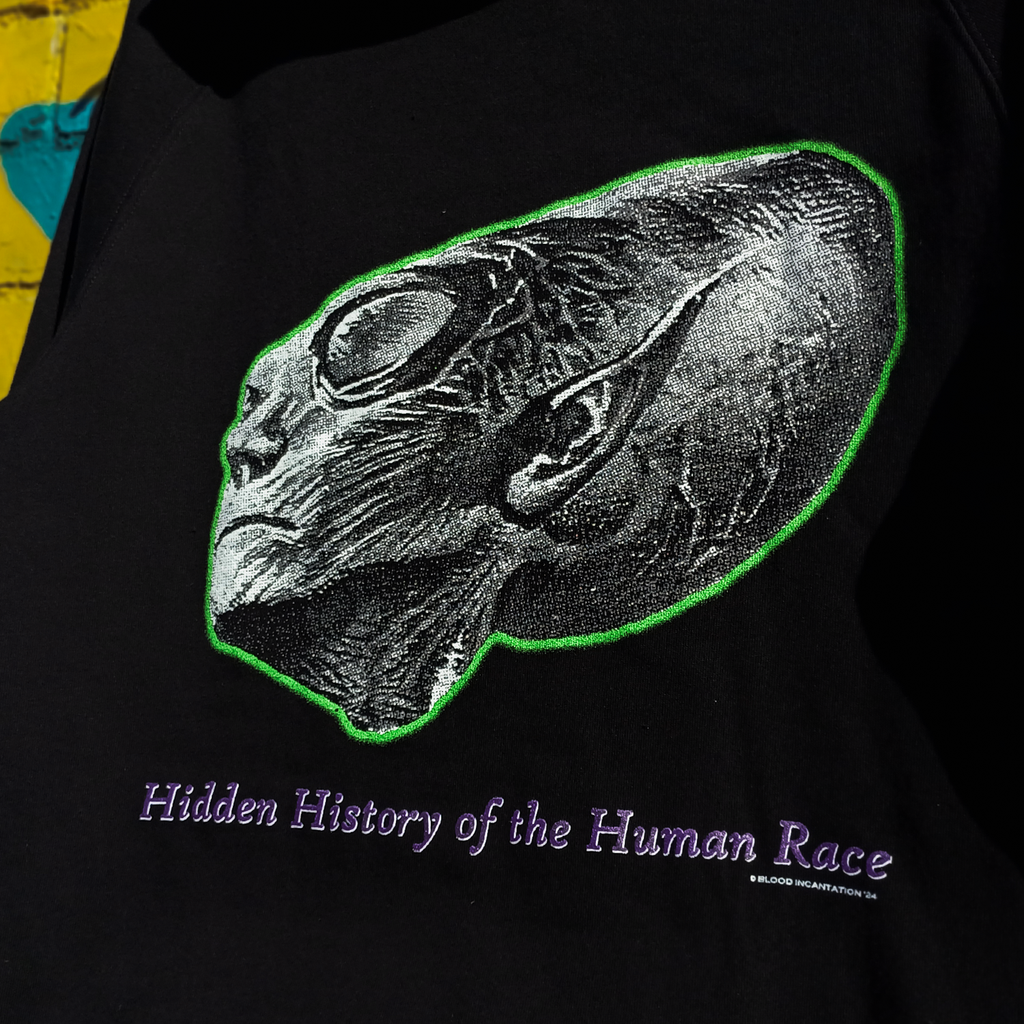 Hidden History Pullover Hoodie (Black) T-Shirts, Sweatshirt | CoreVibeTees.com (Image 5)