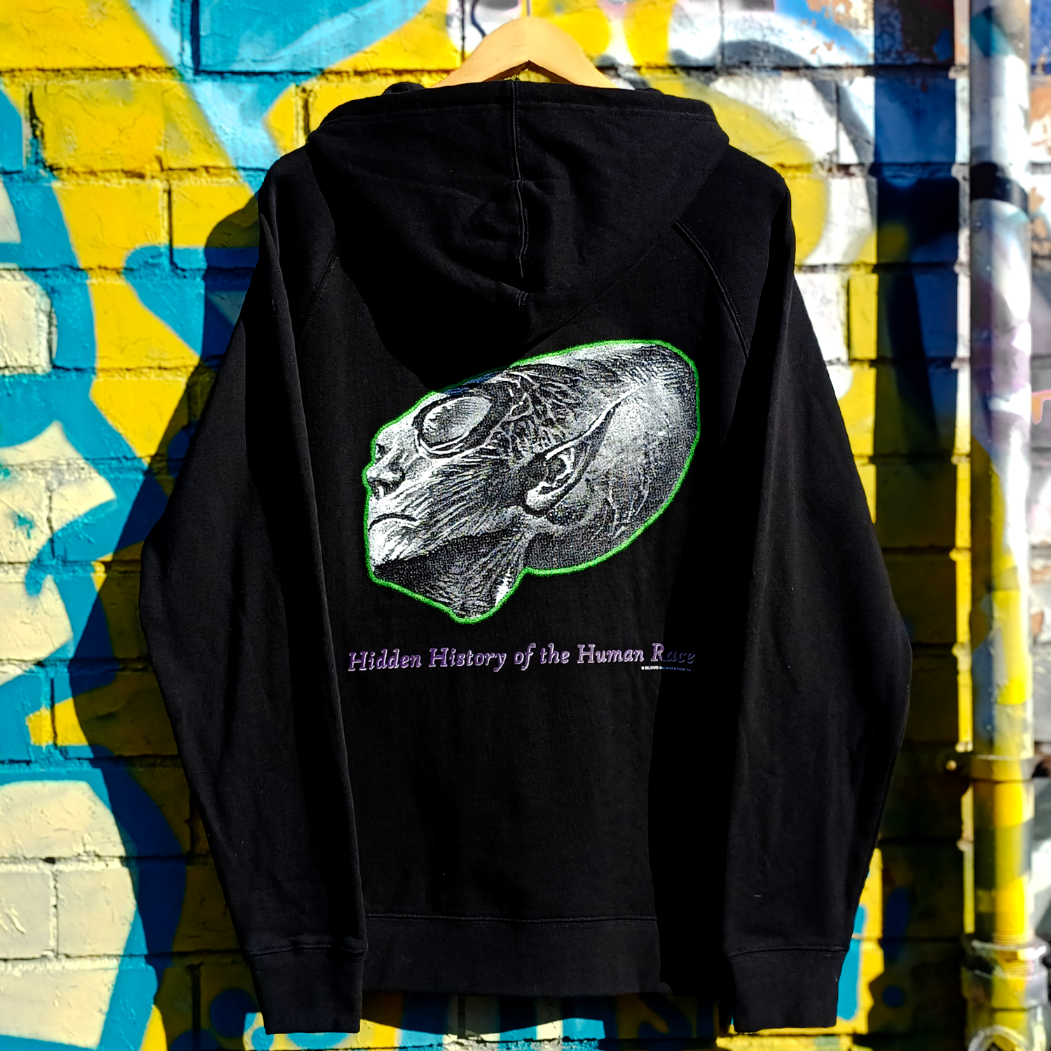 Hidden History Pullover Hoodie (Black) T-Shirts, Sweatshirt | CoreVibeTees.com (Image 4)