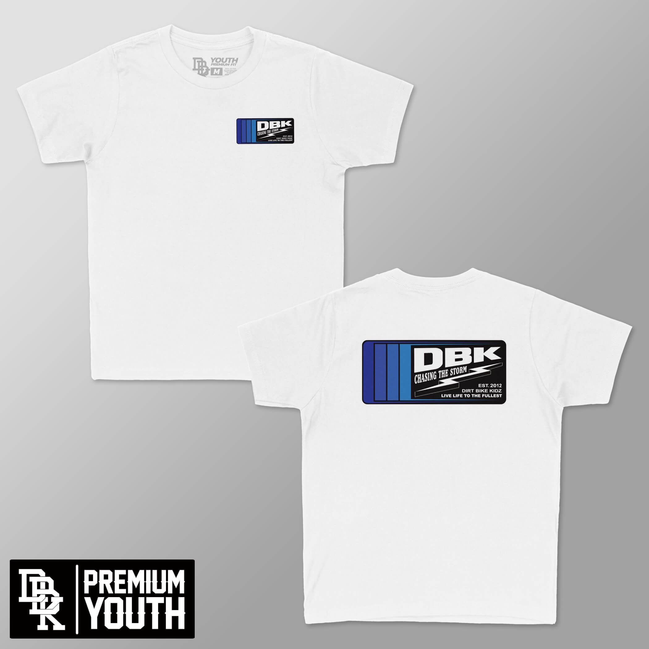 Chasing the Storm - Youth Premium Tee Hoodie, Sweatshirt | CoreVibeTees.com (Image 1)