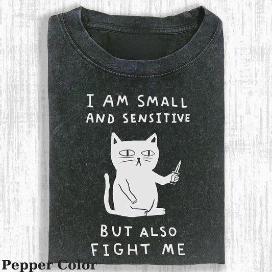 Cat - I Am Small And Sensitive But Also Fight Me Tshirt, Cute Cat Shirt, Meme Cat Shirt, Vintage 90s Style Tee, Graphic Shirt, Unisex Apparel
