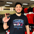 Colorado Avalanche 2026 Western Conference Champions logo shirt