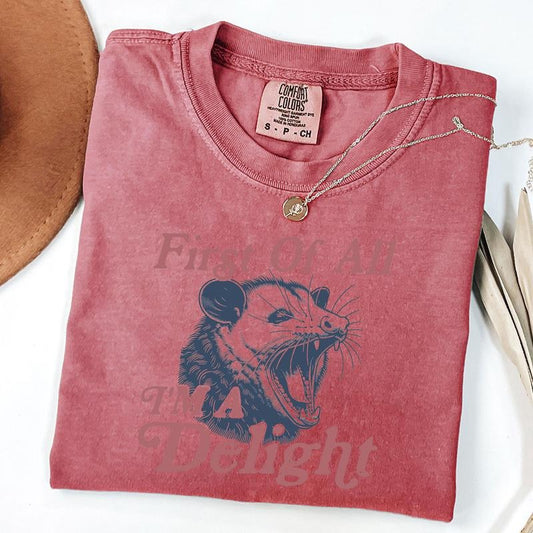 Comfort Colors First of All I'm a Delight Funny Possum T-Shirt, Funny Retro Shirt, Graphic Tee, Funny Women's Aesthetic Tshirt