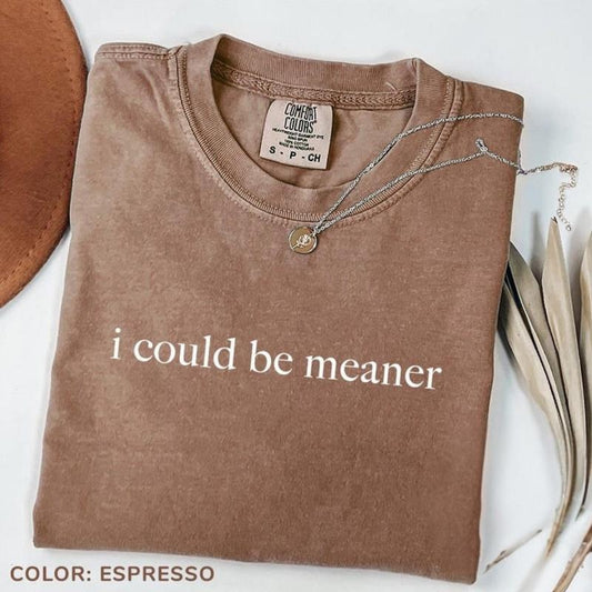 Comfort Colors I Could Be Meaner Shirt, Funny Humor Shirt, Sarcastic Shirt, Funny Quote Tee, Sarcasm Shirt, Trendy Gift for Women, For Woman
