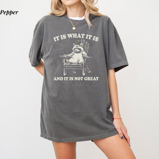 Comfort Colors It Is What It Is And It Is Not GreatT-shirt, Funny Raccoon Meme Tee, Retro Unisex Cotton T-Shirt, Nostalgic Cringe Meme Style for Raccoon Lovers