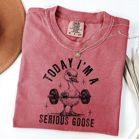 Comfort Colors Today I'm A Serious Goose Shirt, Snarky Sarcastic Goose Shirt, Retro Silly Goose Shirt, Unisex T-Shirt