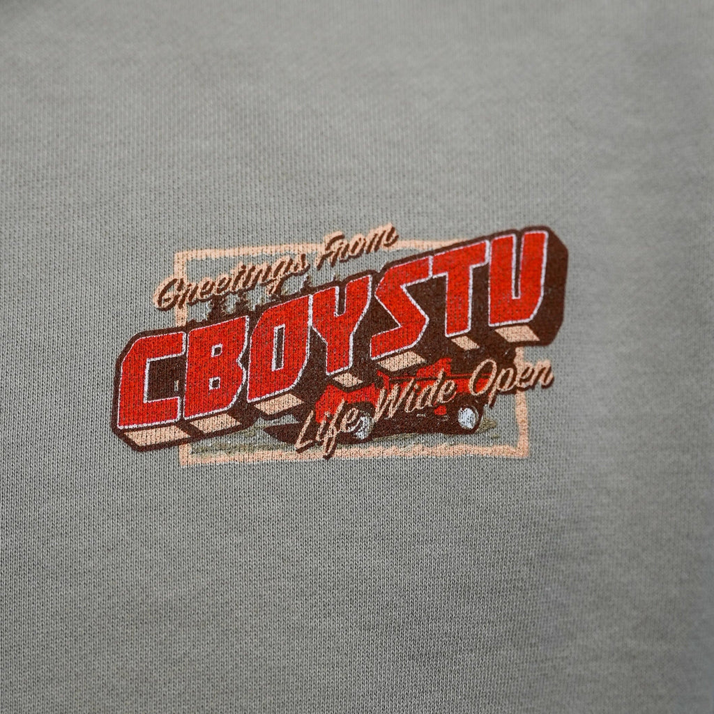 Parked and Wrecked Hoodie T-Shirts, Sweatshirt | CoreVibeTees.com (Image 4)