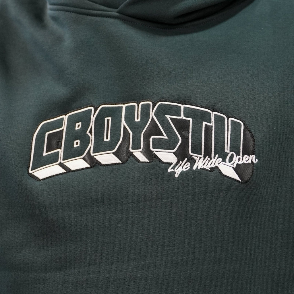 Collegiate Applique Hoodie T-Shirts, Sweatshirt | CoreVibeTees.com (Image 3)