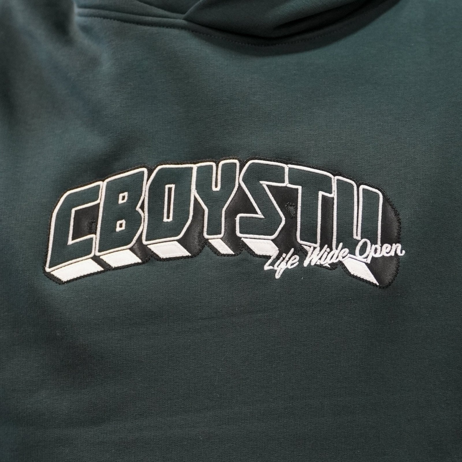 Collegiate Applique Hoodie T-Shirts, Sweatshirt | CoreVibeTees.com (Image 3)