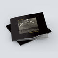 Honey Steelâ€™s Gold CD T-Shirts, Hoodie, Sweatshirt | CoreVibeTees.com