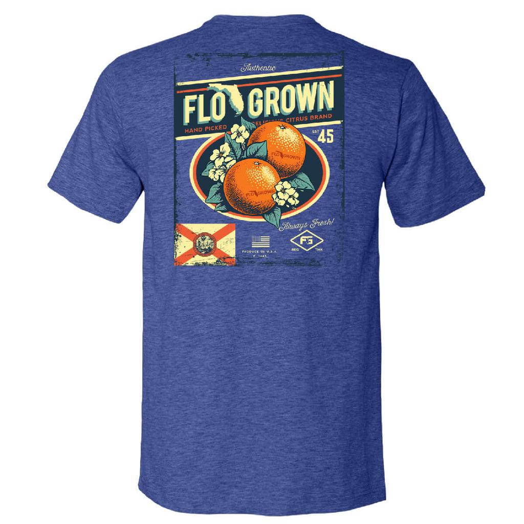 Blue Oranges Poster Tee Hoodie, Sweatshirt | CoreVibeTees.com (Image 1)