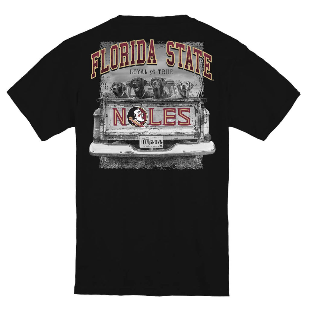 Florida State Seminoles Labs in Truck Youth Tee Hoodie, Sweatshirt | CoreVibeTees.com (Image 1)