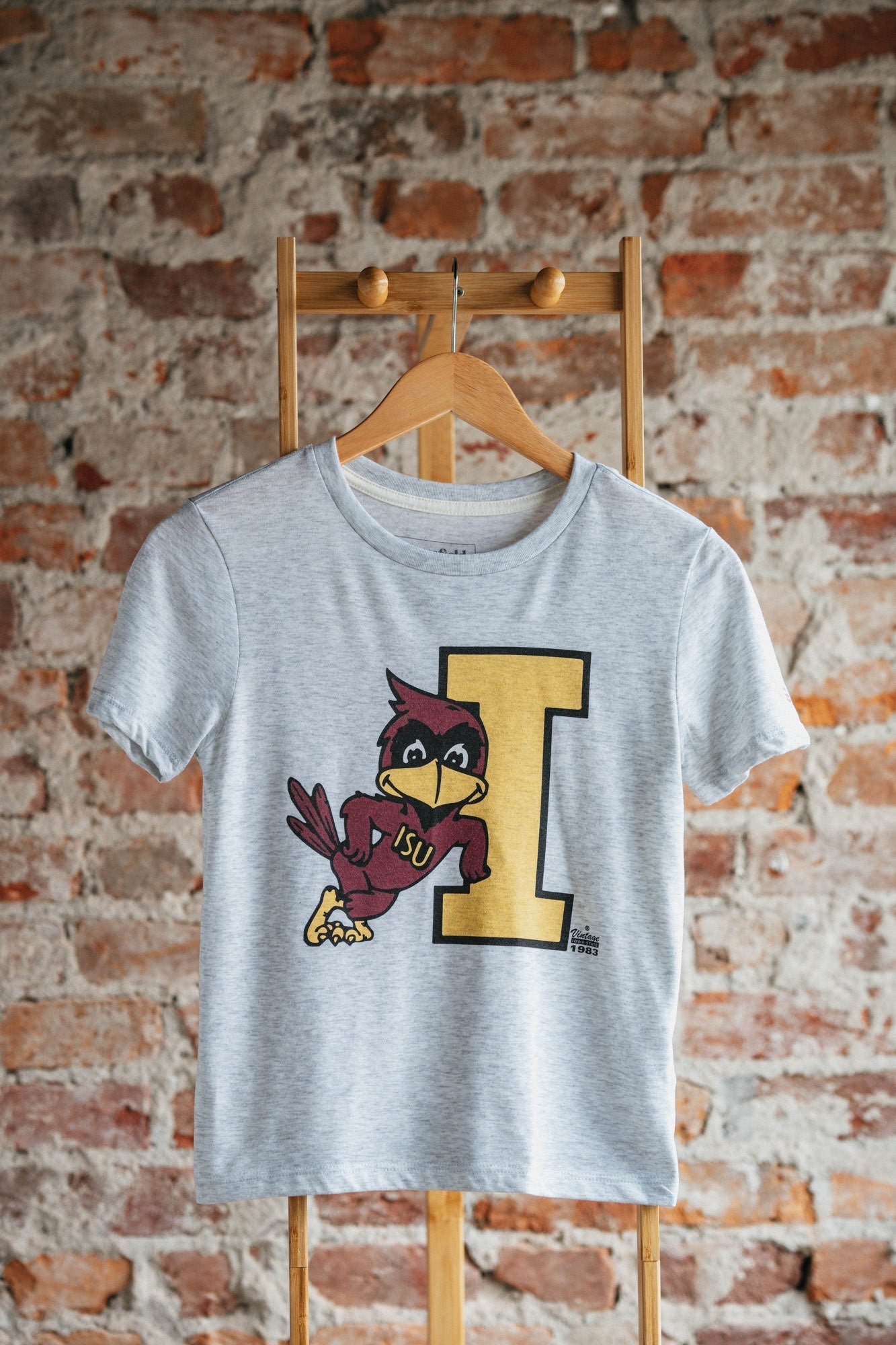 Iowa State Cy the Cardinal Youth Tee Style001 Hoodie, Sweatshirt | CoreVibeTees.com (Image 2)