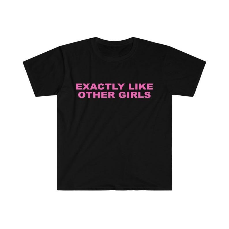 Funny Y2K TShirt, Exactly Like Other Girls 2000's Style Meme Tee, Gift  T-shirt, sweater and Hoodie Cotton