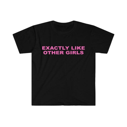 Funny Y2K TShirt, Exactly Like Other Girls 2000's Style Meme Tee, Gift  T-shirt, sweater and Hoodie Cotton