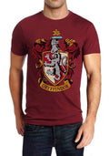 Gryffindor T-Shirt Hoodie, Sweatshirt | CoreVibeTees.com