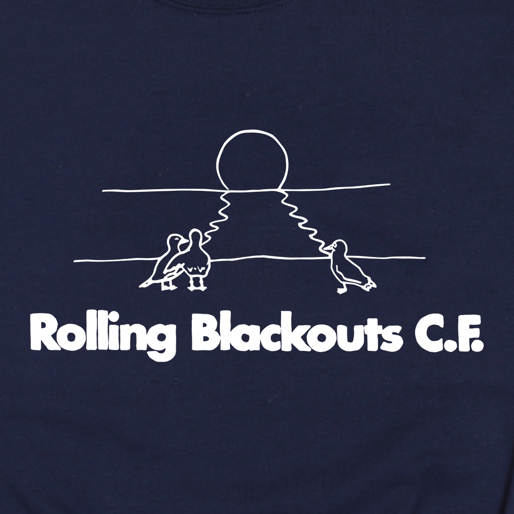 Gulls Navy Sweatshirt T-Shirts, Hoodie | CoreVibeTees.com (Image 2)