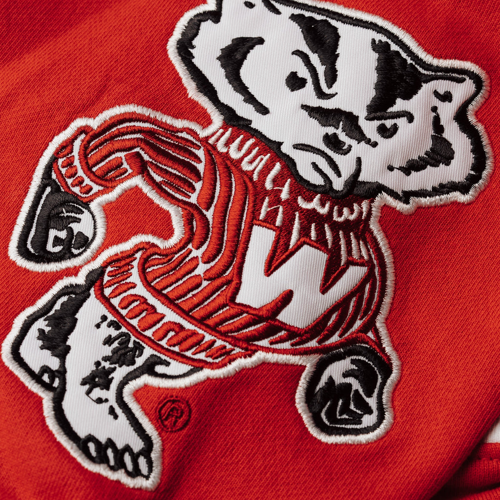 Wisconsin Badgers Hockey Rinkside Hoodie Style001 T-Shirts, Sweatshirt | CoreVibeTees.com (Image 3)