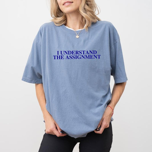I Understand The Assignment Comfort Color Shirt, Human Rights Graphic T-shirt, Assignment Unhinged Shirt, Women Tee, Daily Casual Fits, Comfy Fabric Graphic Tee, Women's Tops, Womenswear, Cotton Fabric Relaxed Fit Chic Style