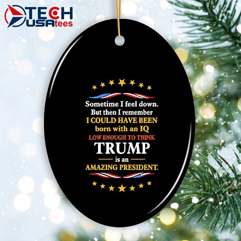 I could have been born with an IQ low enough to think Trump is an amazing president shirt