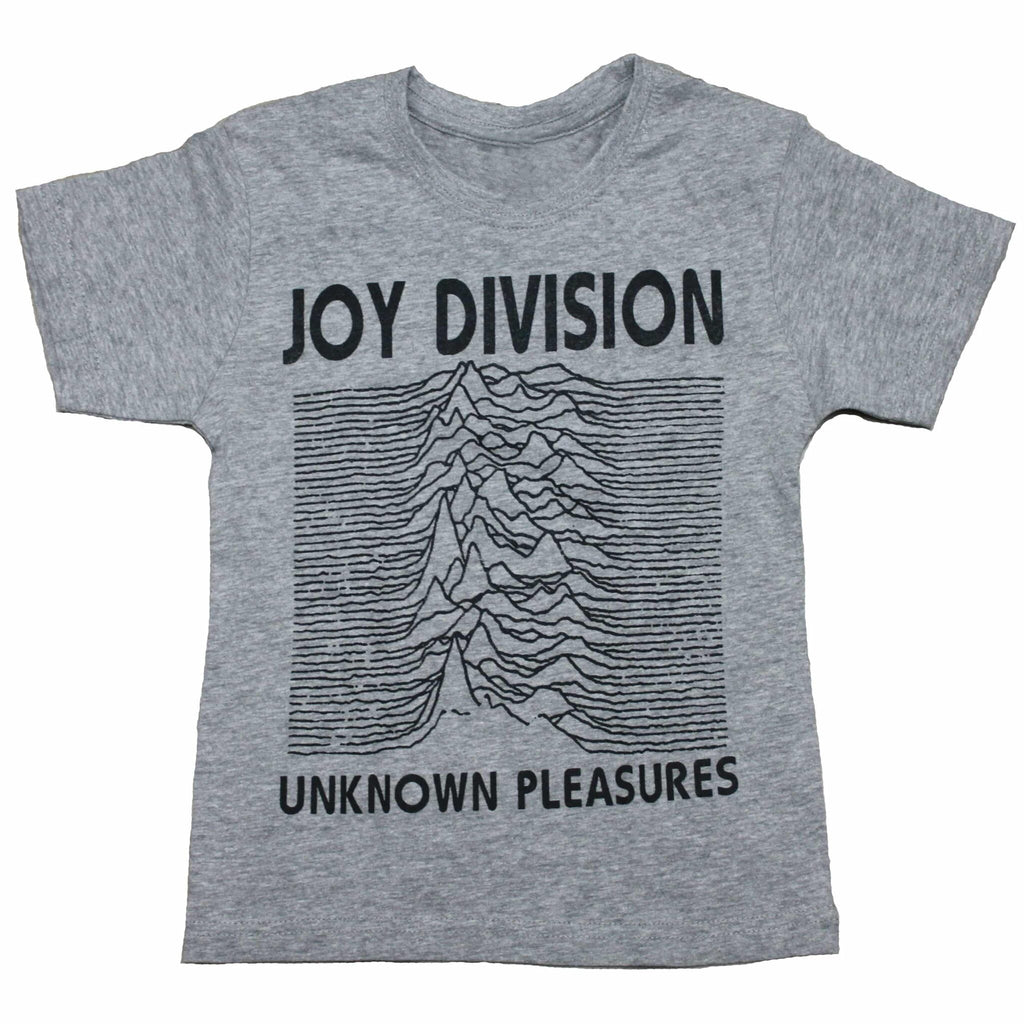 Joy Division Unknown Pleasures Kids Charcoal T-Shirt Hoodie, Sweatshirt | CoreVibeTees.com (Image 1)