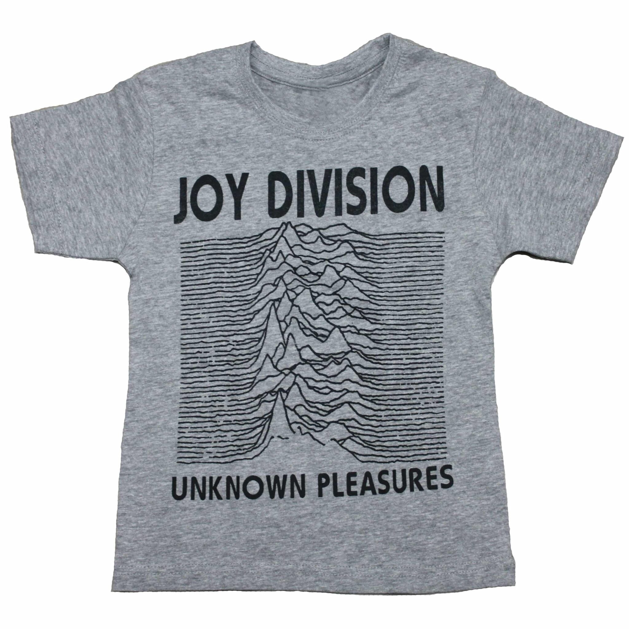 Joy Division Unknown Pleasures Kids Charcoal T-Shirt Hoodie, Sweatshirt | CoreVibeTees.com (Image 1)