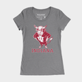 Vintage IU Hoosiers Bison Women's Tee Style001 Hoodie, Sweatshirt | CoreVibeTees.com (Image 1)