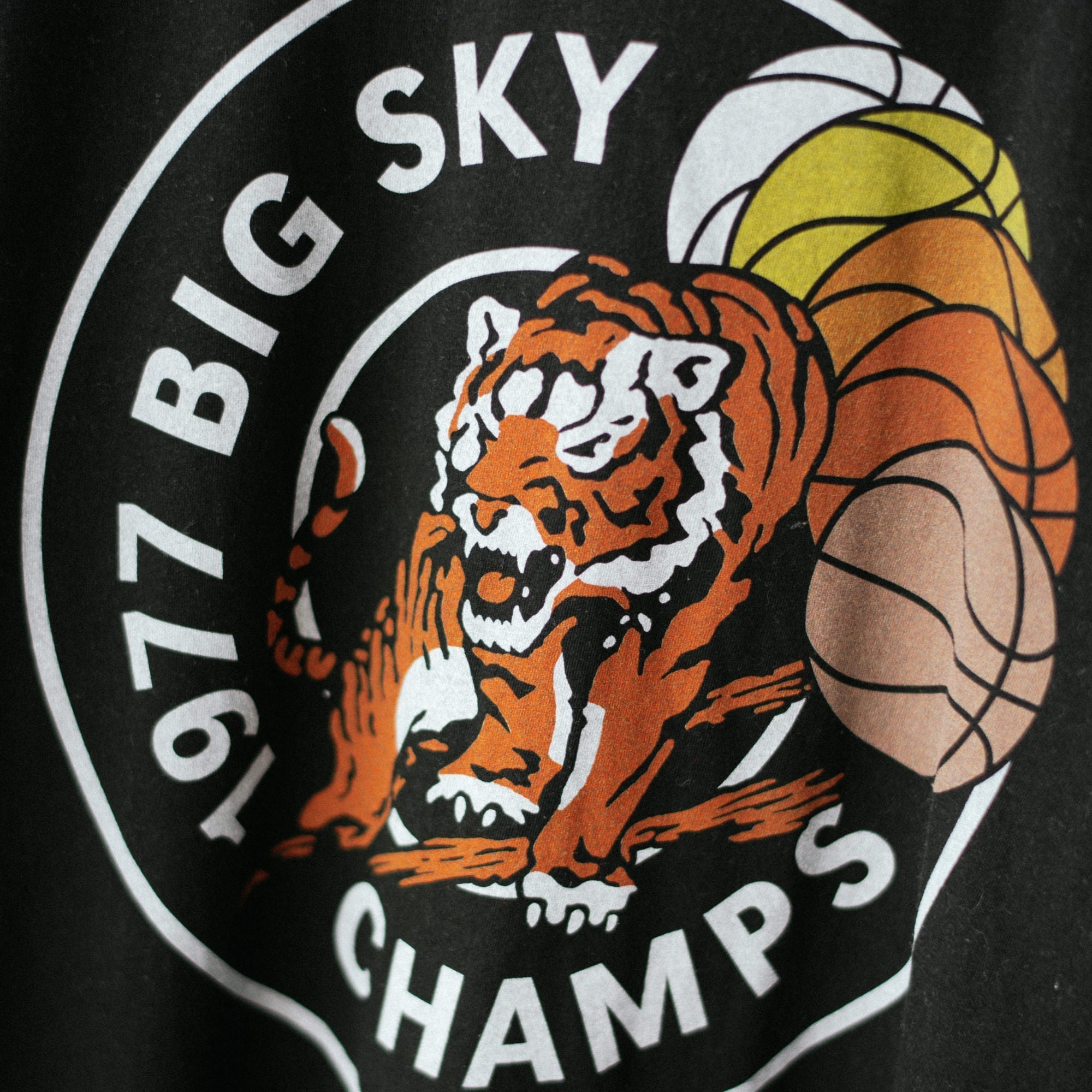 Idaho State Basketball 1977 Big Sky Champs Tee Hoodie, Sweatshirt | CoreVibeTees.com (Image 2)